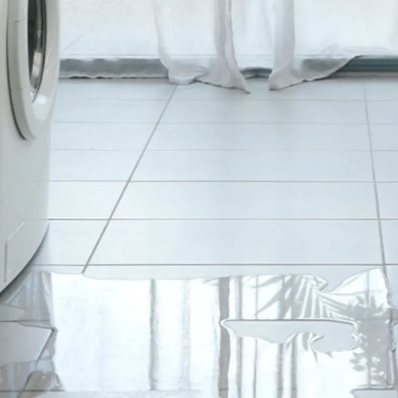 Appliance Leak Cleanup in Malvern, AL