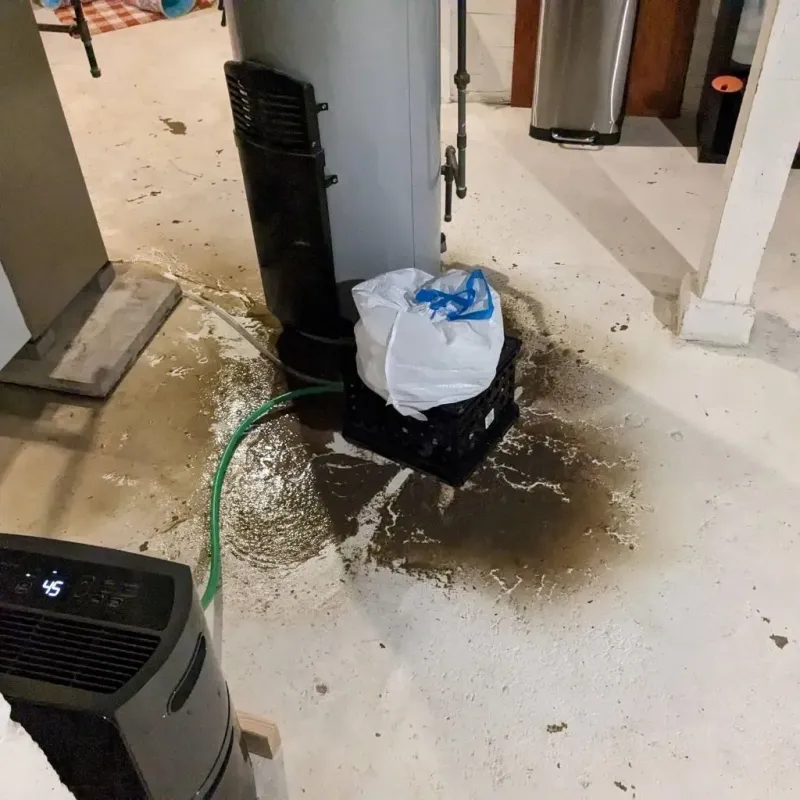 Sewage Backup Cleanup Service in Malvern, AL
